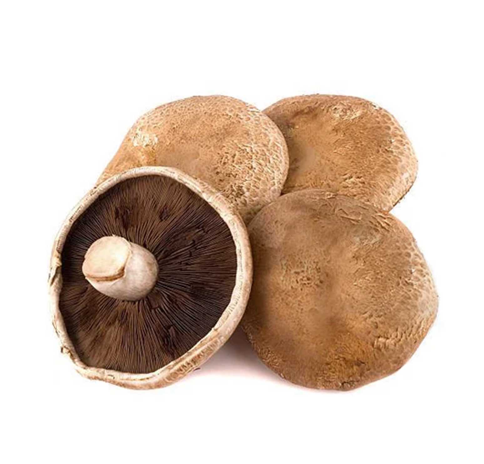 MUSHROOM PORTABELLA SANITIZED ( kg )