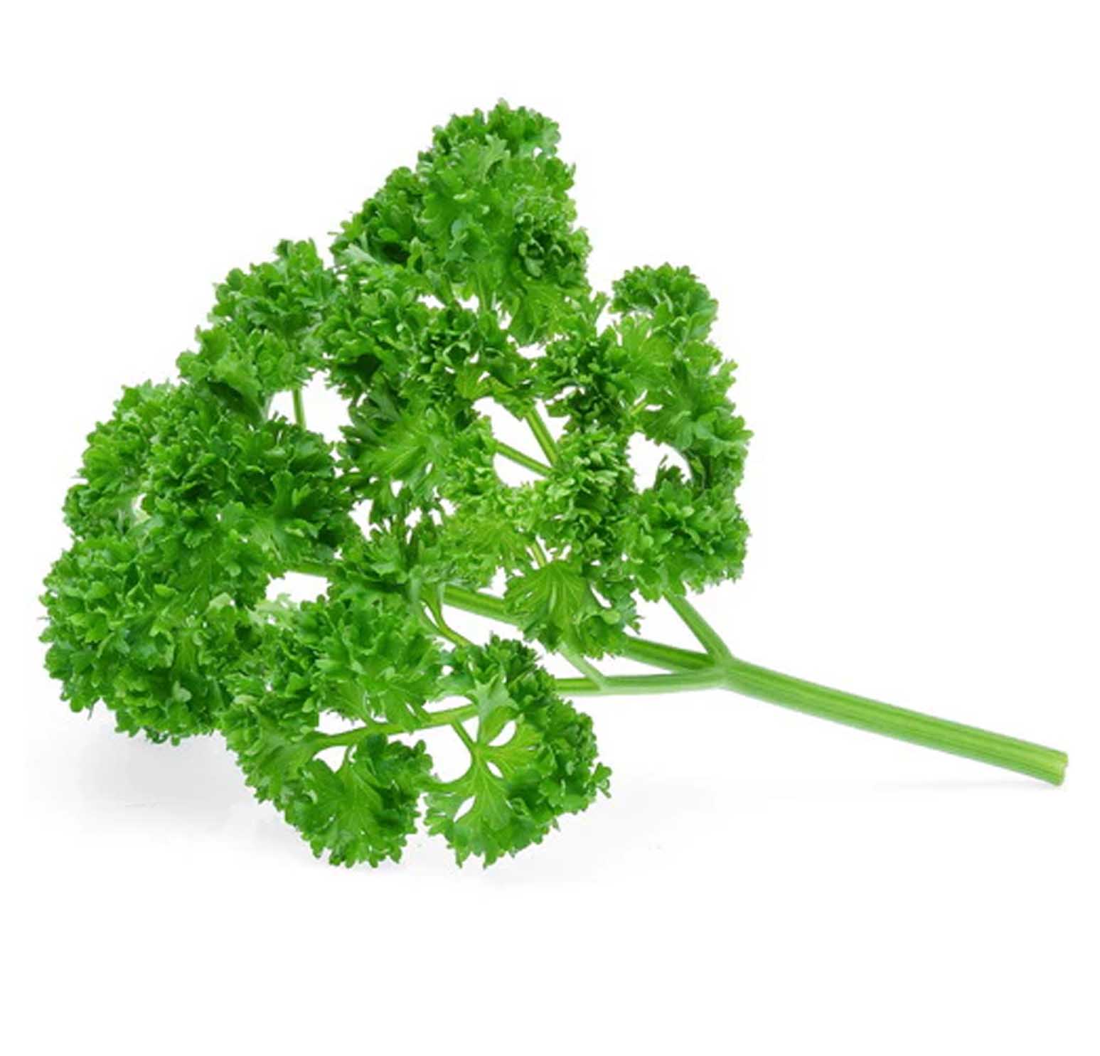 PARSLEY SANITIZED ( kg )