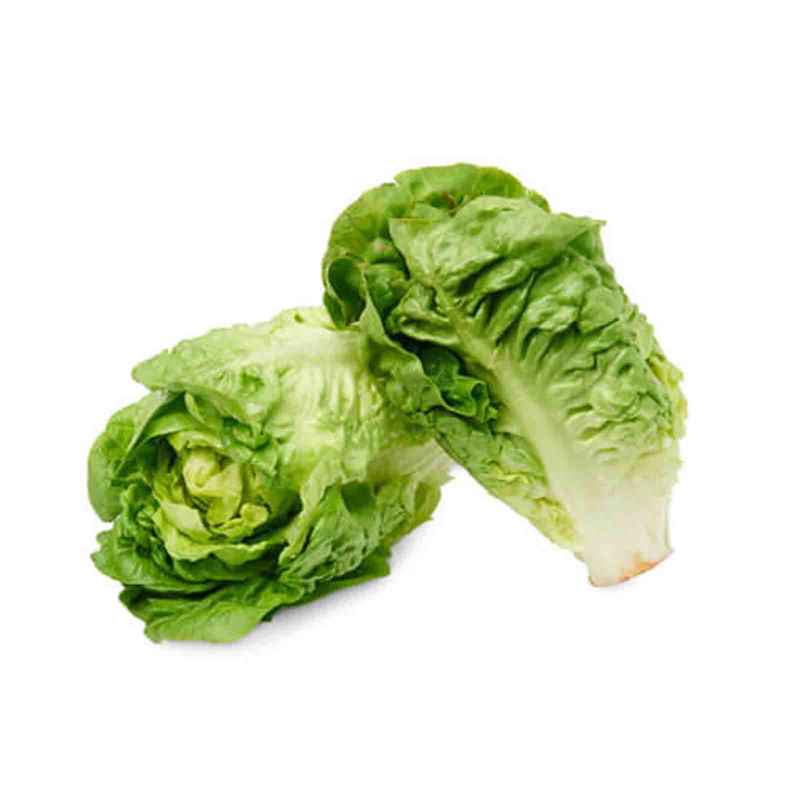 LETTUCE GEM BABY ROMAINE - FRANCE ( KG )