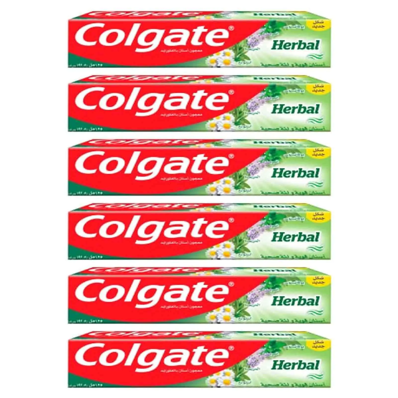 TOOTH PASTE HERBAL COLGATE (6 X 100 ML)