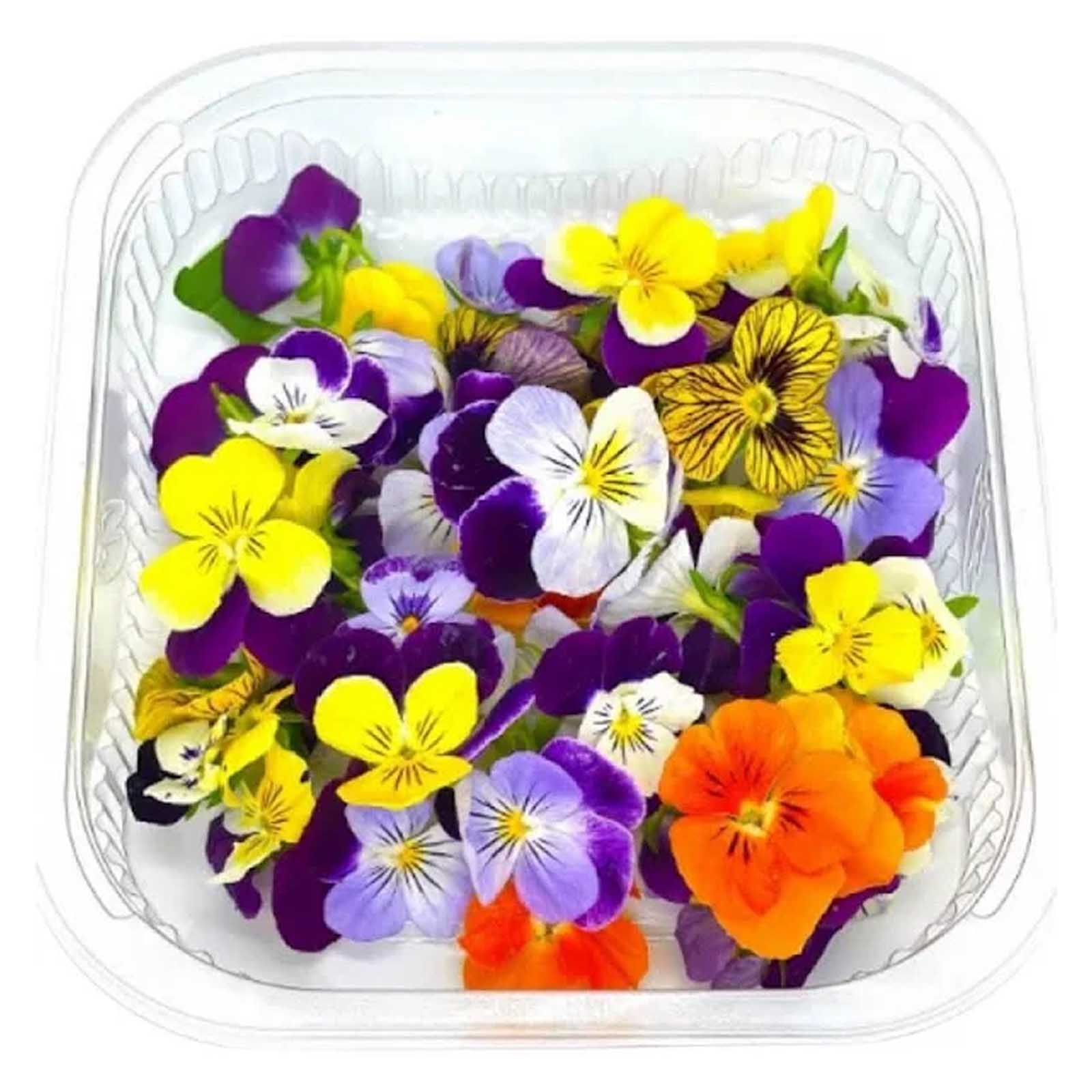 EDIBLE FLOWER MIXED - RSA ( PKT )