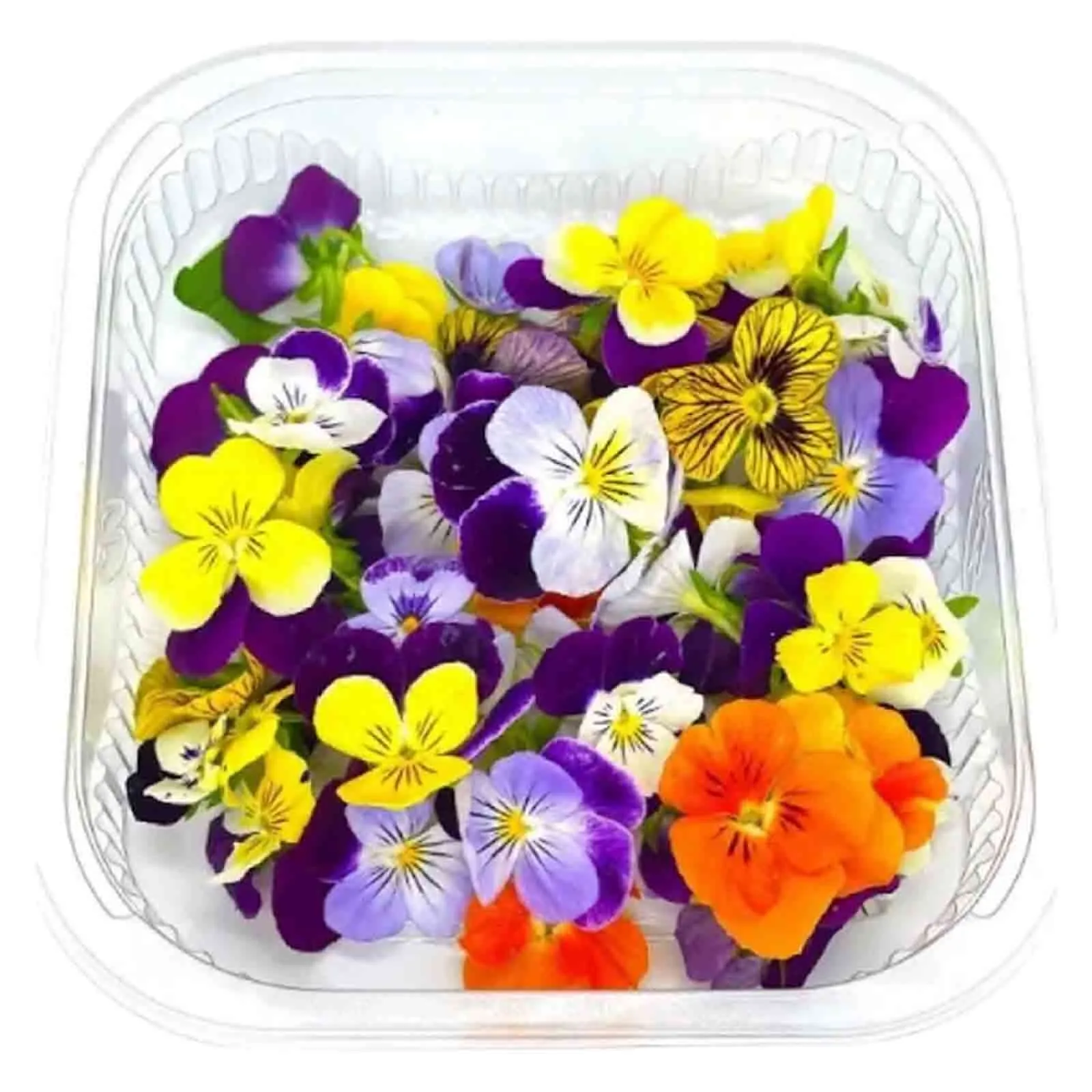 EDIBLE FLOWER MIXED - RSA ( PKT )