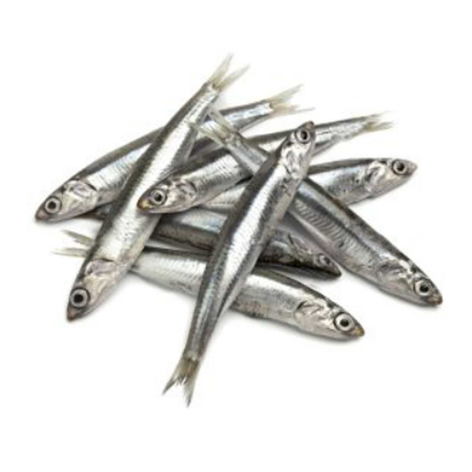  Fish Anchovy ( Nathel ) Fresh Small 1 Kg 