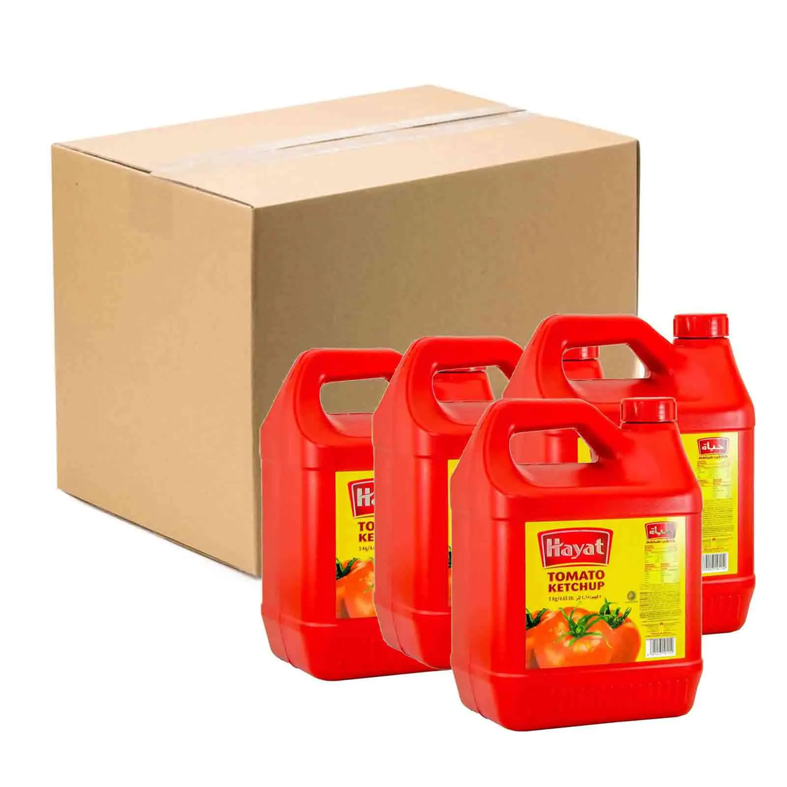 TOMATO KETCHUP HAYAT ( 4 X 5 kg )