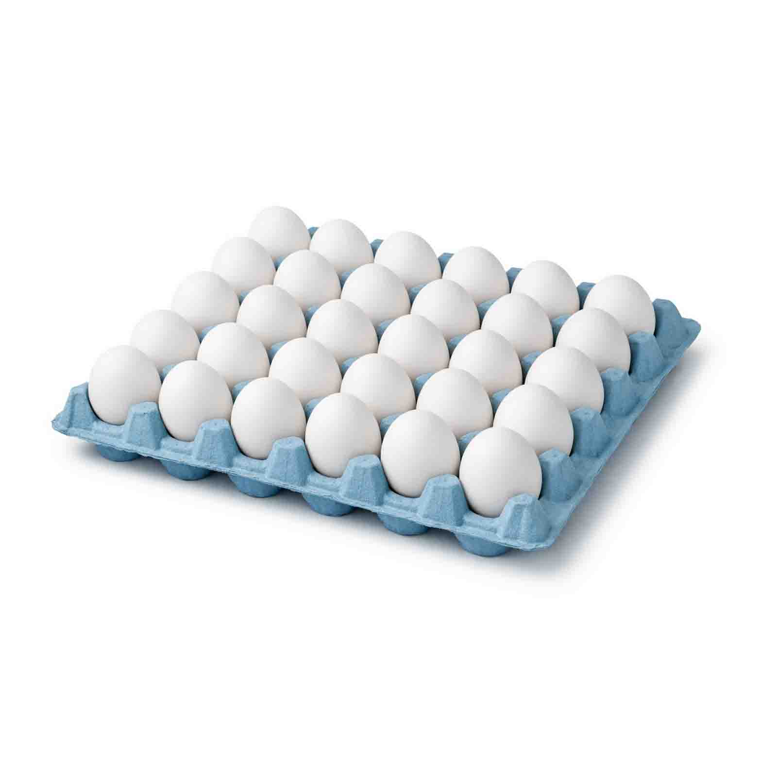 EGG WHITE MEDIUM TURKEY ( 30 PCS )
