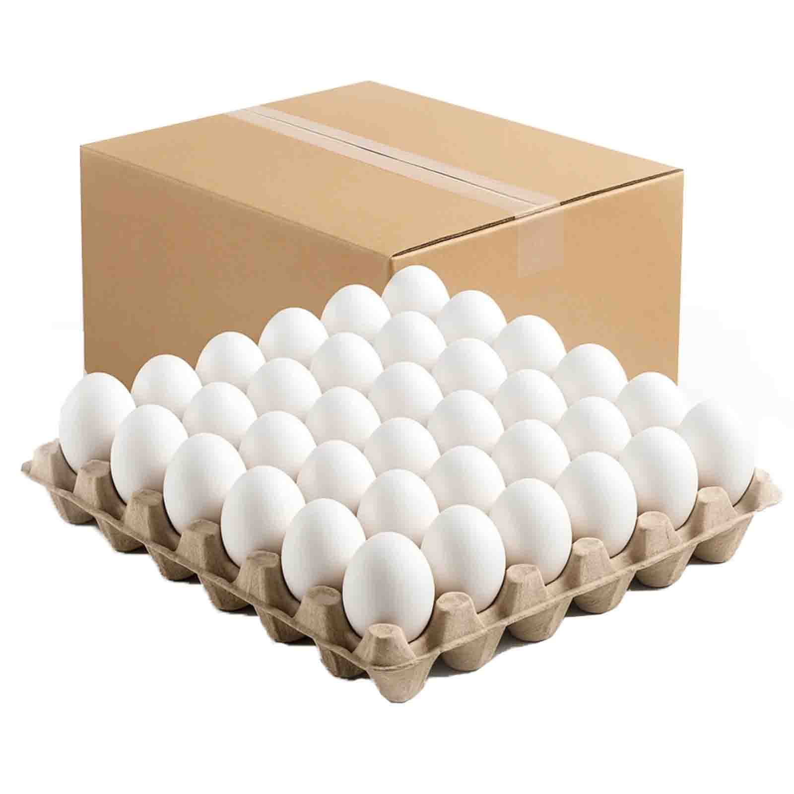 EGG WHITE LARGE UAE ( 12 X 30 PCS )