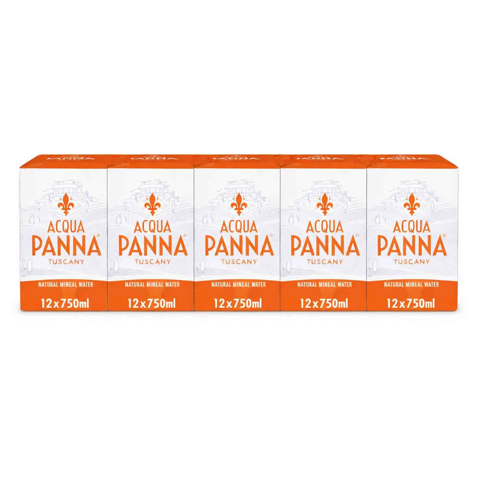 WATER MINERAL GLASS BOTTLE ACQUA PANNA ( 5 X 12 X 750 ML )