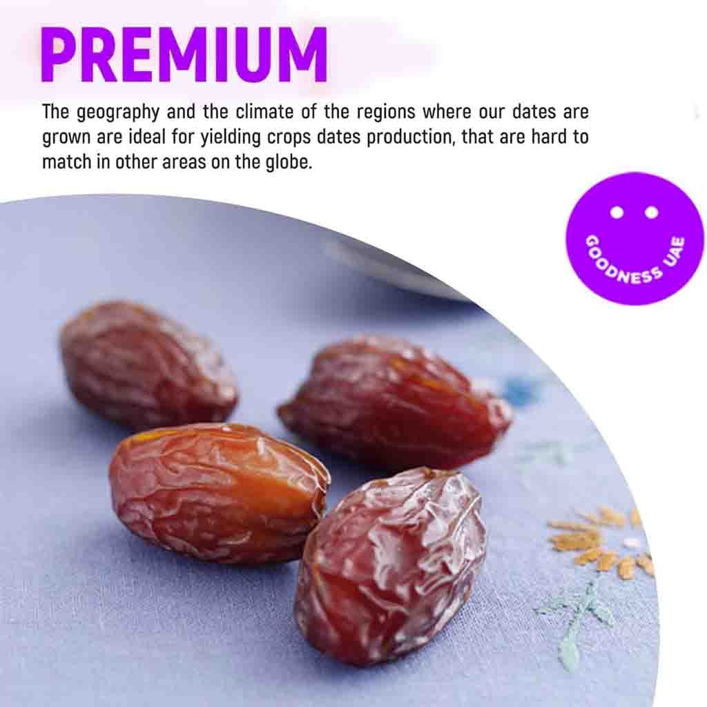 Goodness UAE Premium Medjool Dates 500g Gift Pack – Naturally Sweet, Jumbo Size Dates from UAE – Healthy Snack, High in Fiber & Energy