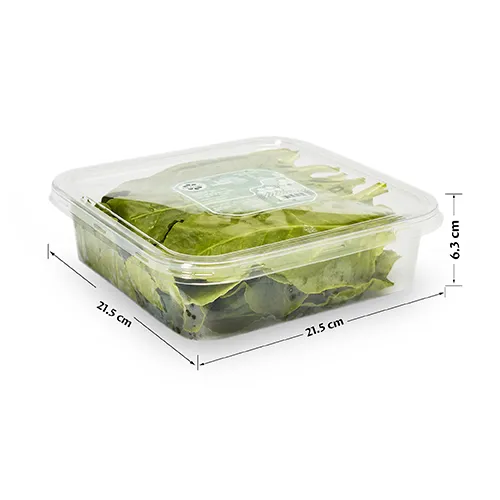 Fit Fresh Spinach 200 g (Freshly-Prepared, Sanitized, Ready-To-Cook, No Preservatives, No Additives)