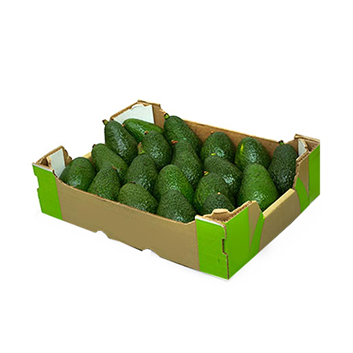  Fit Fresh Jumbo Avocado Hass 4 Kg Box - Spain/Mexico