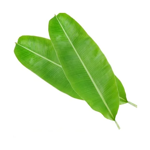 BANANA LEAVES - INDIA ( 1 PC )
