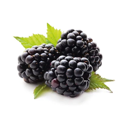 BLACKBERRY - MEXICO - PKT (170 GM)