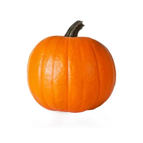 PUMPKIN BABY - INDIA - PC ( 600 - 800 GM )