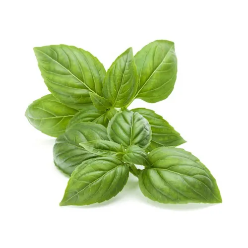 BASIL LEAVES - KENYA - BUNCH ( 100 GM )
