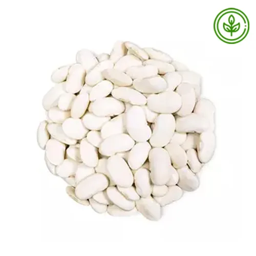 BEANS WHITE LARGE ORGANIC ( 500 gm )