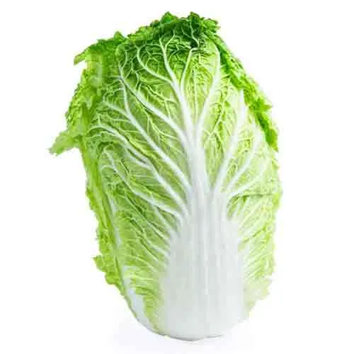 CABBAGE CHINESE - IRAN - 1PC ( 1.2 - 1.5 KG )
