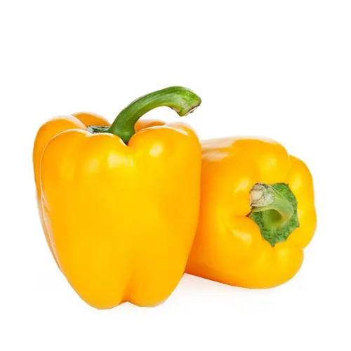 CAPSICUM YELLOW - HOLL ( KG )