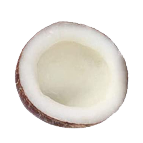 COCONUT DRY HALVES - INDIA ( PC )