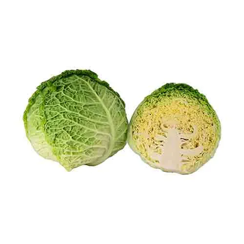  Fit Fresh Cabbage Savoy 1 Kg - Holland