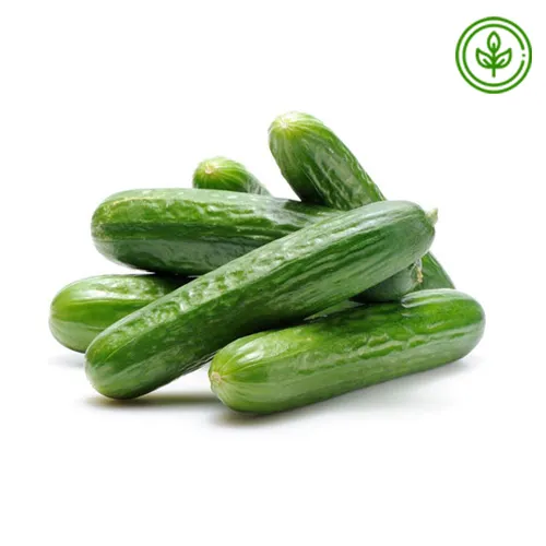 CUCUMBER ORGANIC