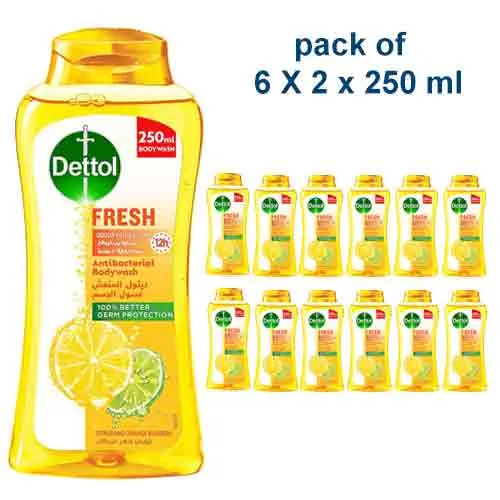 SHOWER GEL & BODY WASH FRESH DETTOL ( 6 X 2 X 250 ml )