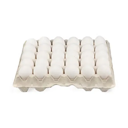 EGG WHITE LARGE TURKEY ( 30 PCS )