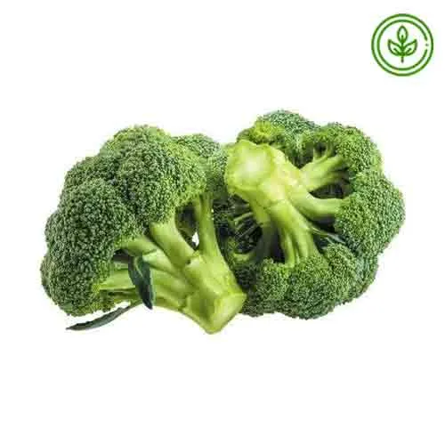 BROCCOLI - ORGANIC