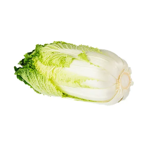  Fit Fresh Cabbage Chinese Kg - China 