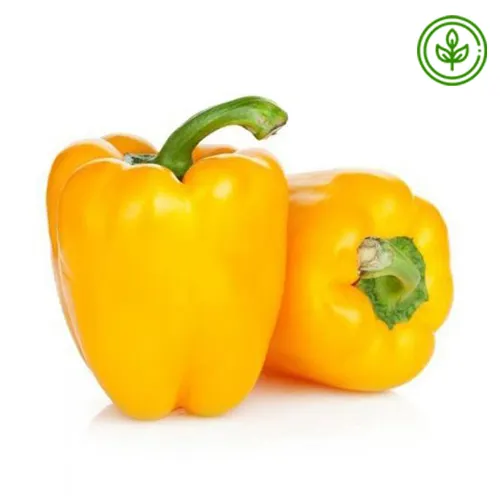 CAPSICUM YELLOW - ORGANIC