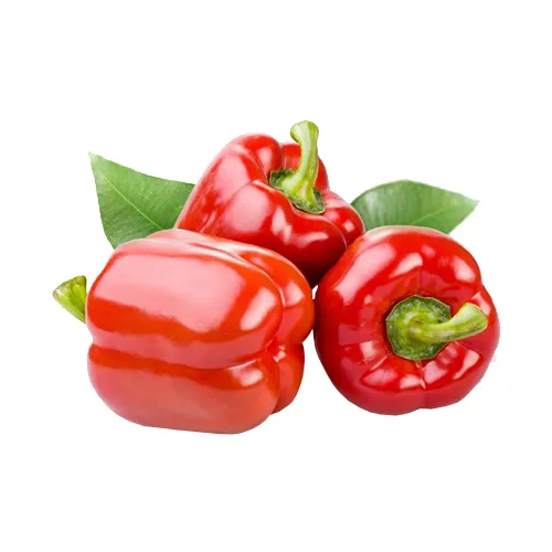 CAPSICUM RED - ME ( KG )