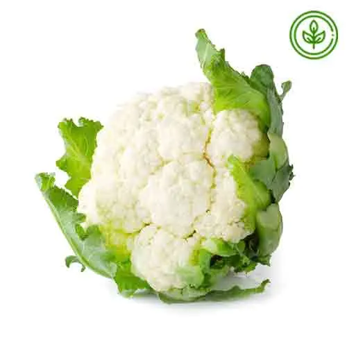 CAULIFLOWER ORGANIC