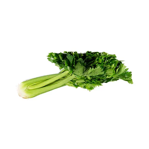 CELERY - SPAIN - BUNCH ( 800 GM - 1 KG )