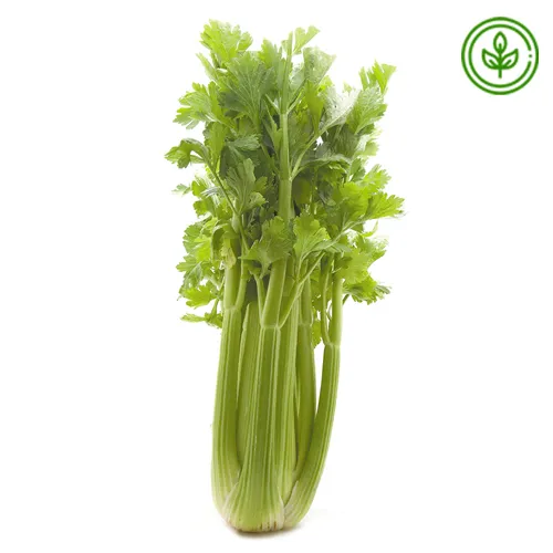 CELERY - AUSTRALIA ORGANIC 