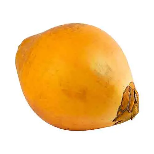  Fit Fresh Coconut Tender King Pcs - Srilanka ( PRE ORDER )
