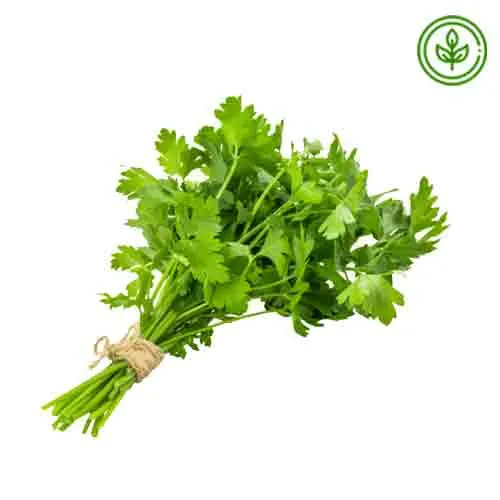 CORIANDER LEAVES - ORGANIC ( PC )