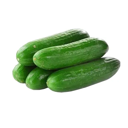 CUCUMBER - ME ( KG )