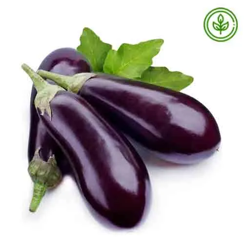 EGGPLANT ORGANIC