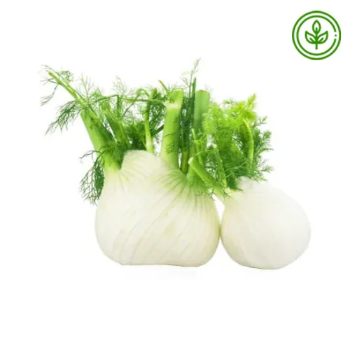 FENNEL ORGANIC ( PC )