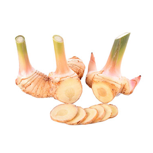  Fit Fresh Galangal Kg - Thailand