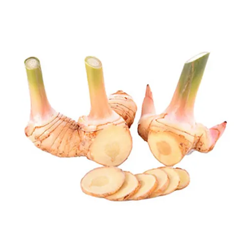 Fit Fresh Galangal Kg - Thailand