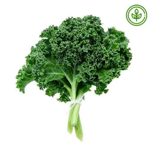 KALE ORGANIC