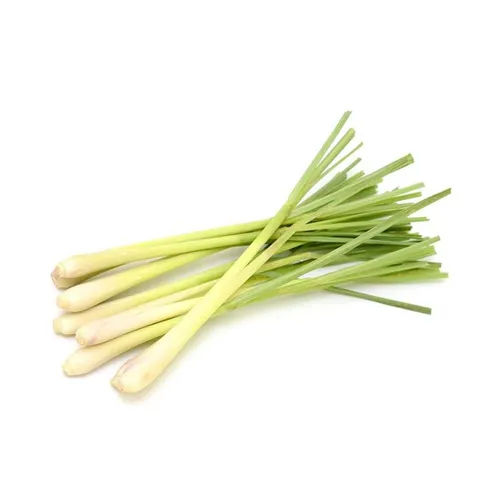 LEMON GRASS - THAILAND ( KG )