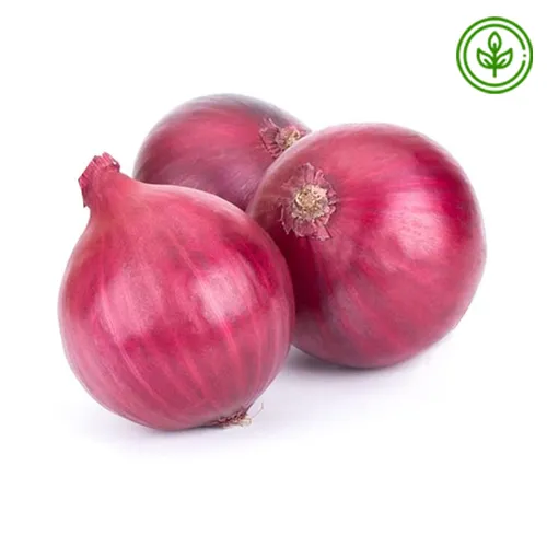 ONION RED - ORGANIC