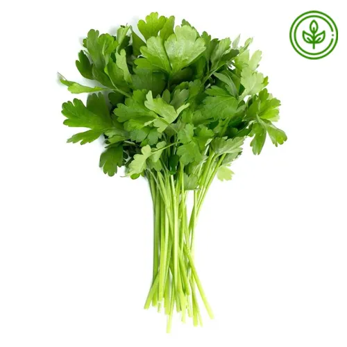 PARSLEY - ORGANIC ( 100 GM )