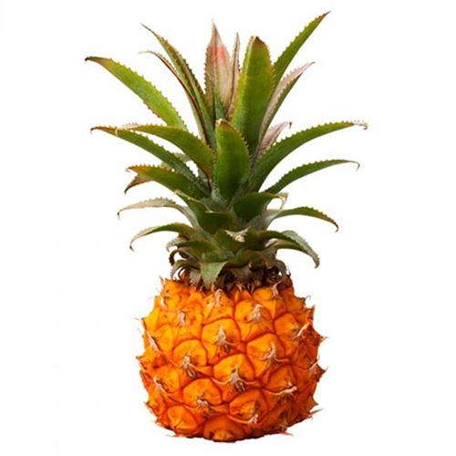 PINEAPPLE BABY - RSA - PC ( 450 - 500 GM )