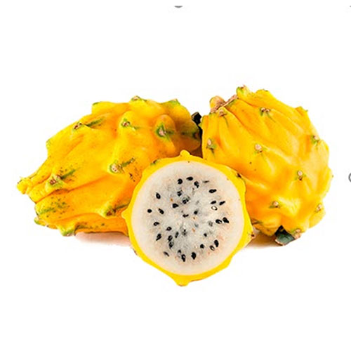 PITAYA - COLOMBIA - PC ( 200 - 250 GM )