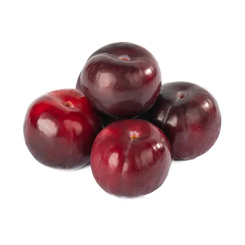 PLUM RED - RSA ( KG )