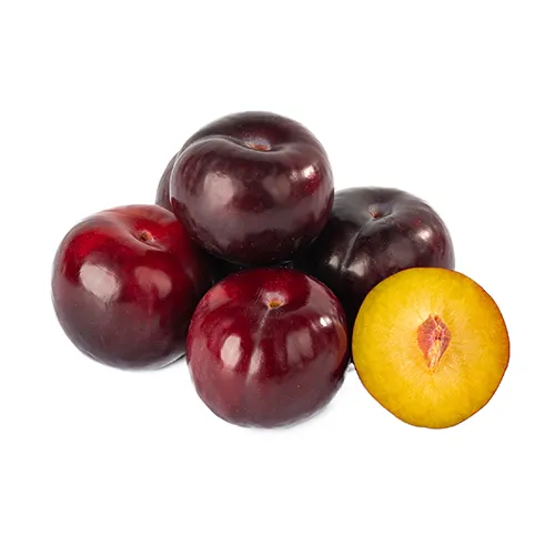 Fit Fresh Plum Red Kg - RSA