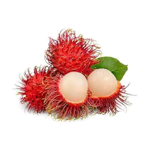 RAMBUTAN - THAI - PKT ( 500 GM )