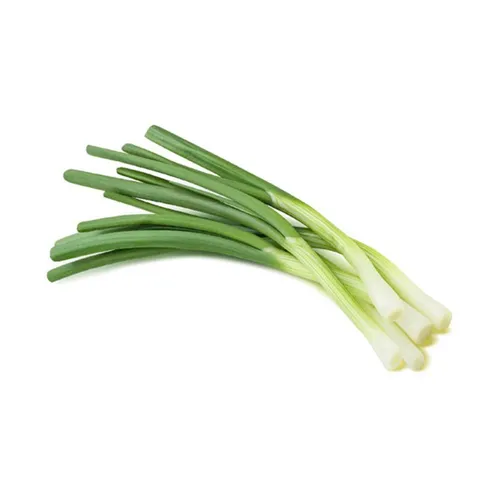SPRING ONION - UAE ( KG )